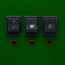 Gaggia Classic Evo Pro Espresso Machine In Jungle Green With Tiger Maple 11 Gaggia Classic Evo Pro Espresso Machine In Jungle Green With Tiger Maple -Crema Coffee Store GACLASSICEVOPROGRN 2097 a4179c1f 3fc0 4a3f ba8f c318954e5272