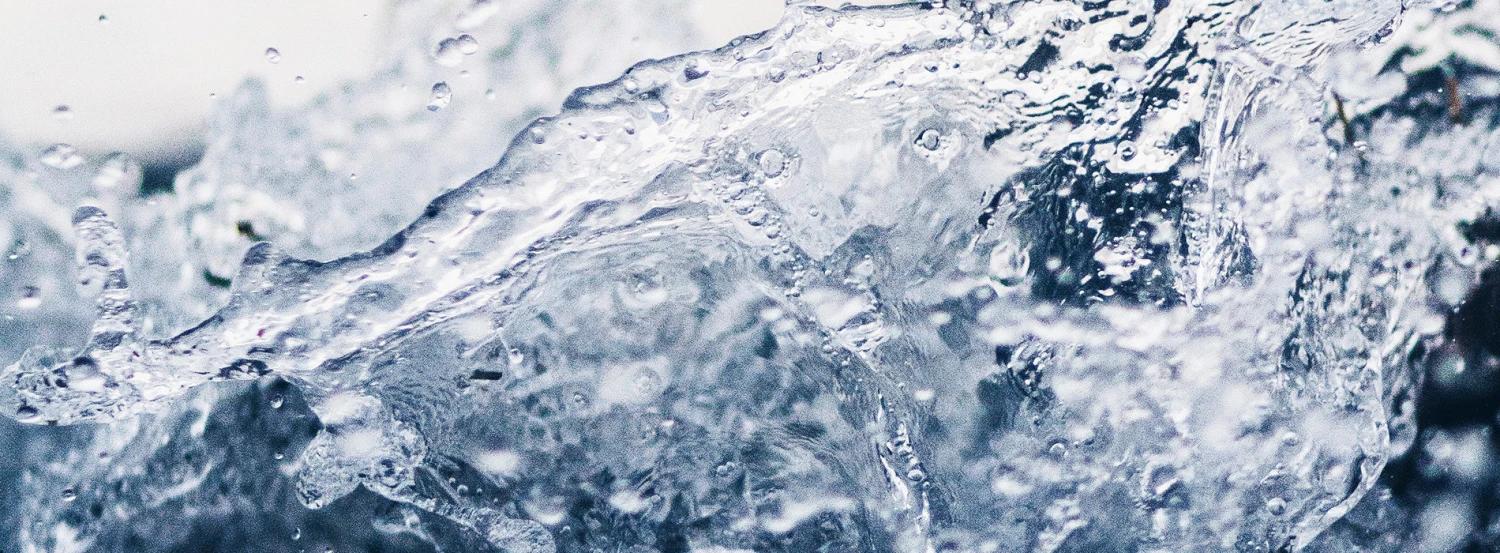 BWT Besthead FLEX Filter Head - Image 8